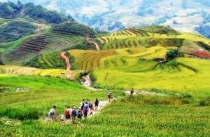 The vogue for homestay tourism in Sa Pa