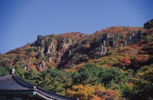 Tourism : Seoul-Jeju, the busiest air link in the world