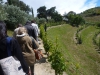 Cediv_Porto2013_114
