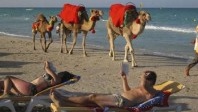 Pourquoi le tourisme en Tunisie progresse toujours malgré tout ?