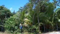 ONF/Air Caraïbes : la Martinique propre et belle !