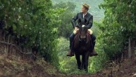 Le vin français fait recette aux States