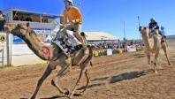 Le Qatar toujours au pas de course