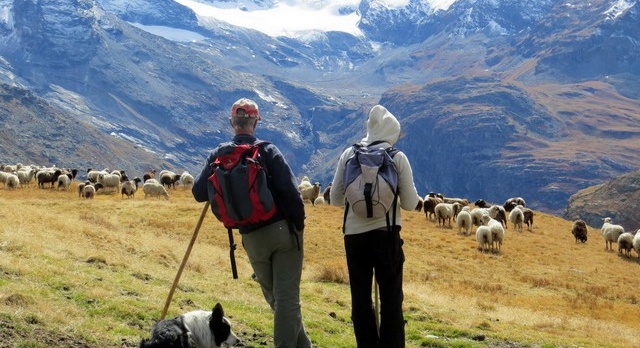 Switzerland leans on its tourism