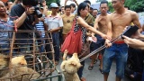 China : The festival of Yulin loves dog meat !