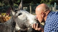 Travel Europe en mode Corse