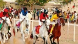 Amazing Horse racing in Zimbabwe