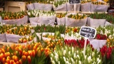 The most beautiful flower markets in the world
