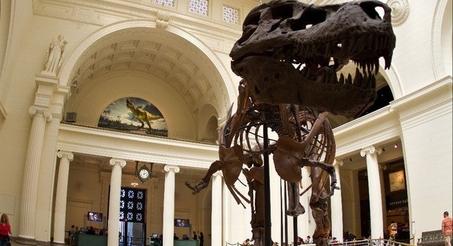 The world’s largest dinosaur arrives at Chicago’s Field Museum