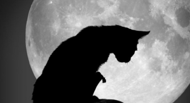 Top 5 most unusual superstitions in the world