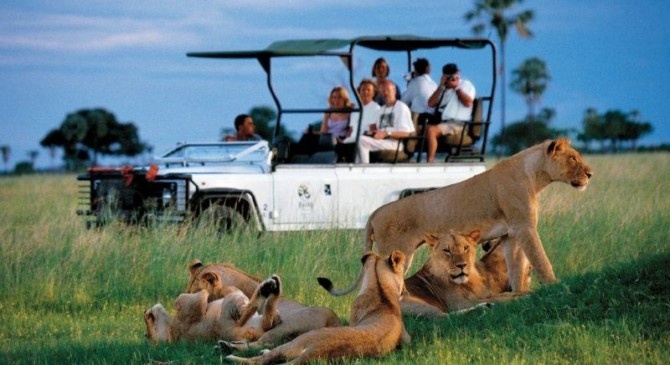 Chinese tourists flee the heat of summer… in Africa