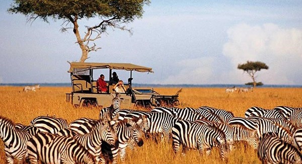 Tourism : Kenya, an emblematic figure of Africa