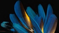 Kuoni présente son catalogue Emotions 2019