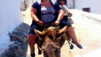 Pourquoi les ânes à touristes de Santorin en ont plein le dos