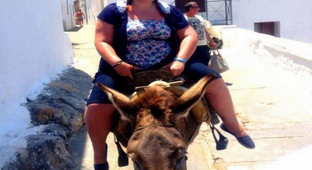 Why do Santorini’s tourist donkeys get sick of it ?