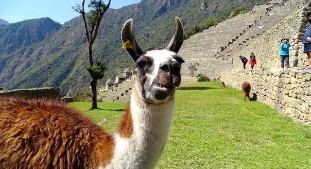 Tourism in Peru: Three new itineraries in Machu Picchu