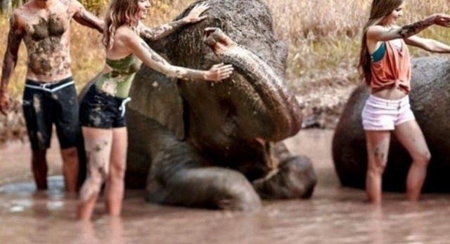 The Elephant Mud Fun attraction at Bali Zoo will attract thousands of international tourists