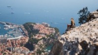 Côte d’Azur : 2018 a été une bonne année pour le tourisme