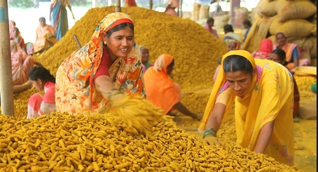 In India, Sri Lanka and Bangladesh : Turmeric, a spice with Miraculous Benefits