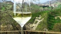 Les collines du Prosecco de Conegliano et Valdobbiadene désormais inscrites au patrimoine de l’Unesco