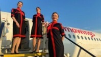 AnimaWings remet la Roumanie au coeur du tourisme en Europe