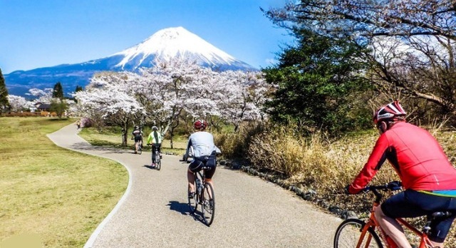 Japan by Bike: Five Gentle Routes to Explore the Archipelago