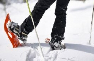 Why Club Med is setting foot in Canada