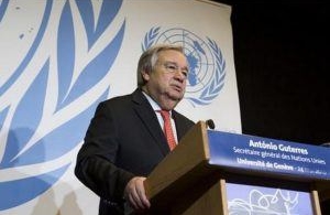 UN calls for the protection of the world’s ecosystems, which are more threatened than ever