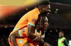 The beautiful elephants ride