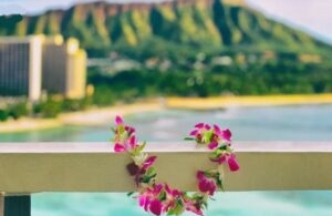 Hawaii : Legal battle over the climate tax on cruise ships