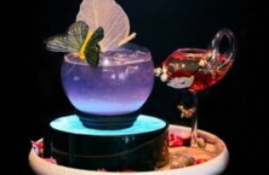 Celestyal launches its tour in the Gulf