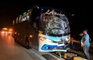 Are the express buses to Malaysia safe?