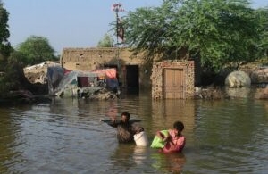 They are overwhelmed and have now lost everything