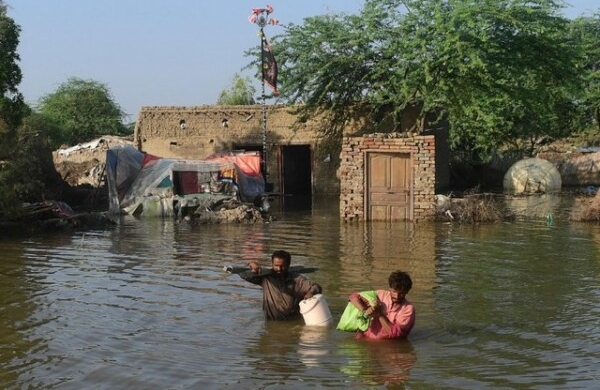 They are overwhelmed and have now lost everything